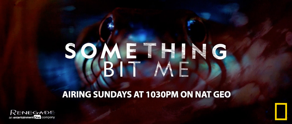 Something Bit Me - Airing Sundays at 10:30p on NAT GEO